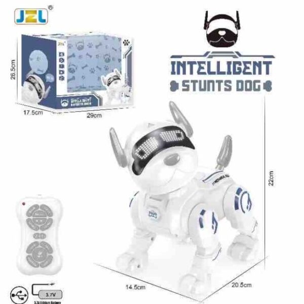INTELLIGENT STUNT DOG